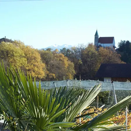 Felsenegg Penzion