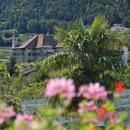 Maison d'hôtes Felsenegg